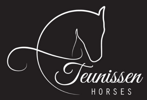 Teunissen Horses